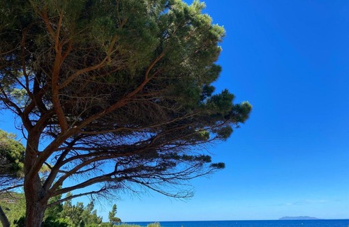 Sisco Apartment | Domaine U Pozzu