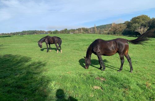 Theix-Noyalo Bed & Breakfast | Domaine Uraveni