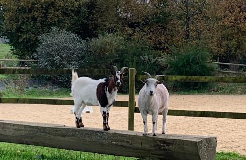 Theix-Noyalo Bed & Breakfast | Domaine Uraveni