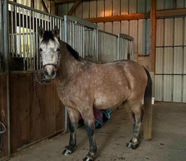 Theix-Noyalo Bed & Breakfast | Domaine Uraveni