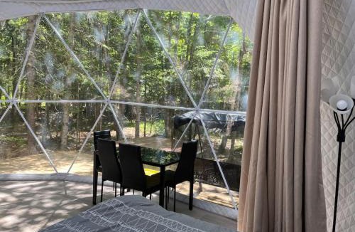 New Maryland Ski Chalet | Dome