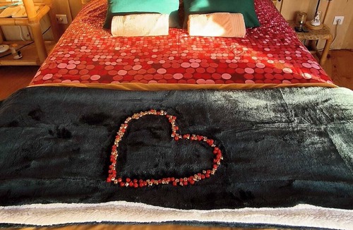 Aizenay Cabin | Dome Géodésique