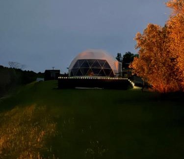 Mangonui Other | Dome on Leccino