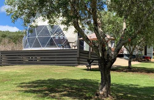 Mangonui Other | Dome on Leccino