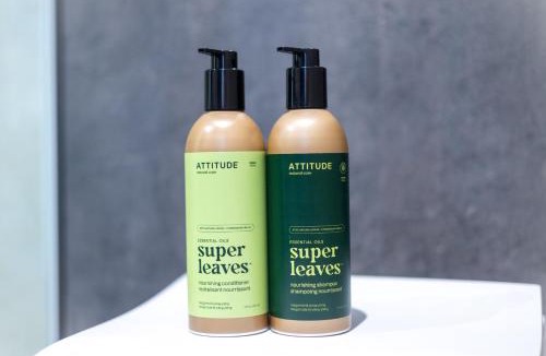 Swan Lake Bed & Breakfast | Domes at Catskills