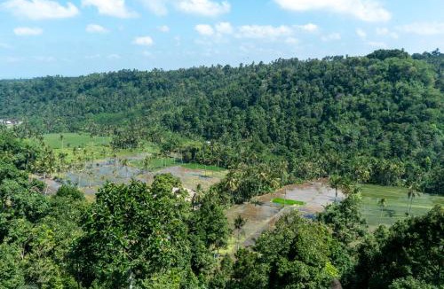 Banyuwangi Resort | Domisili Ijen Cliff By Fays Hospitality