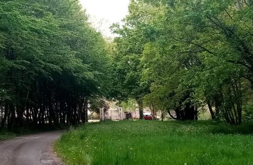 Avrille Apartment | Domitille