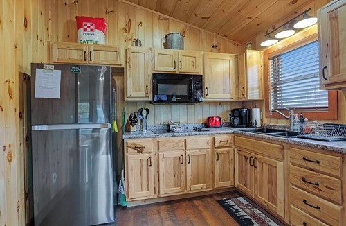 Bristol Cabin | Don's Den Riverfront cabin on the South Holston River