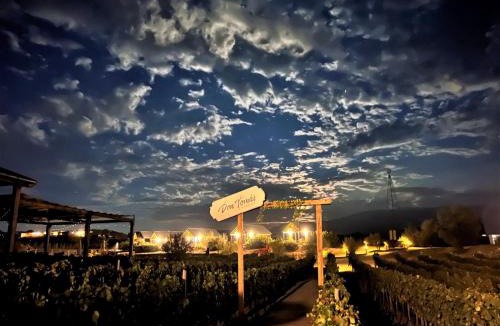 Valle de Guadalupe Ski Chalet | Don Tomas Viñedo cabañas