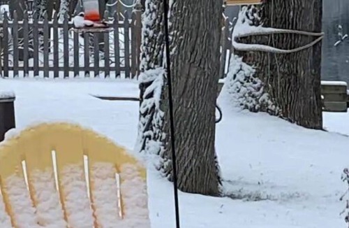 Lake Luzerne-Hadley Cottage | Donohue Riverview