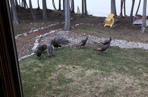 Idlewild House | Door County Waterfront, Sturgeon Bay