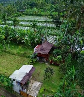Kecamatan Pringgasela House | Dopi Rinjani Homestay