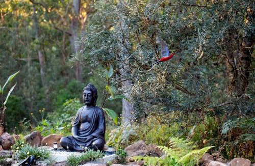 Deer Vale House | Dorrigo Bush Pepper Retreat