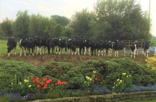 Lower Godney Bed & Breakfast | Double-Gate B&B