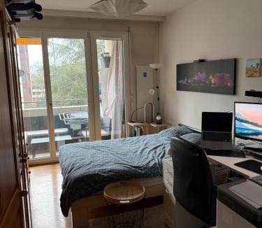 Le Bouchet Apartment | Double room and private bath in a shared flat, quiet, close to the UN and airport