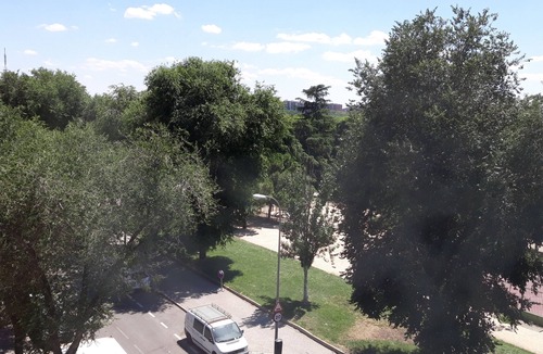 Pueblo Nuevo Apartment | Double room