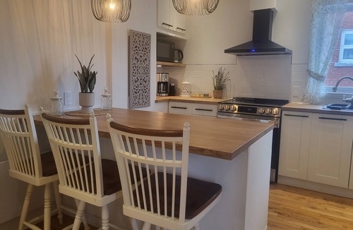 Rosemont-La Petite-Patrie Condo | Double Terrasse · Borne Arcade · BBQ · Proche Bus