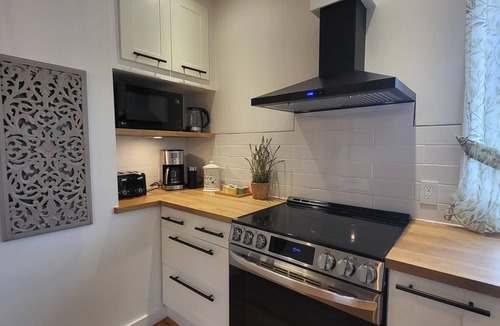 Rosemont-La Petite-Patrie Condo | Double Terrasse · Borne Arcade · BBQ · Proche Bus