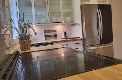 Rosemont-La Petite-Patrie Condo | Double Terrasse · Borne Arcade · BBQ · Proche Bus