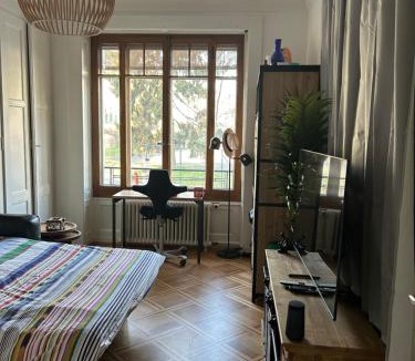 Secheron House | Doubleroom, Kitchen, free transport card- Geneva Lake