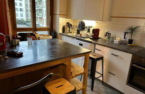 Secheron House | Doubleroom, Kitchen, free transport card- Geneva Lake