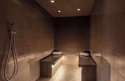 Porte Des Alpes - Mi Plaine - Manissieux Hotel | DoubleTree by Hilton Lyon Eurexpo & Spa