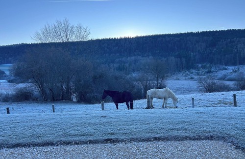 Longemaison Apartment | Doubs country holiday!