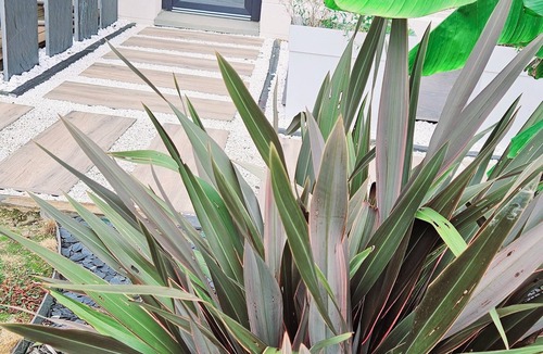 Yville-sur-Seine Condo | Douceur Dorée