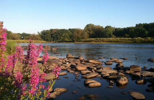 Pulaski Cabin | Douglaston Salmon Run - Mud Creek Lodgen