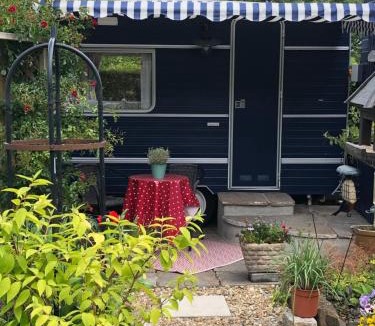 Heligan Bed & Breakfast | Down The Garden Path Vintage Caravan B&B , Dartmoor