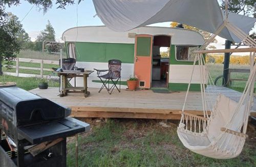 Waimate North Other | Down to earth NZ