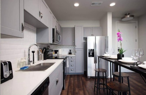 Southtown Apartment | Downtown 1BR w/Gym, Parking Near Rvrwalk &Dome