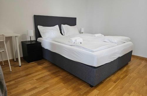 Oerlikon House | Downtown Dream 3 5BR with Balcony and Style BA21
