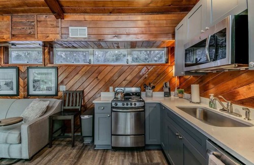 Dunedin Apartment | Downtown Dunedin B&B - Rustic Cabin Studio with Heated Pool