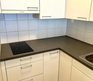 Lucerne Apartment | Downtown Flats - Lake Lucerne
