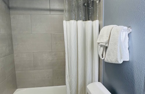 Temple Apartment | Downtown Historic 1 Bed 1 Bath Apartment Unit 202