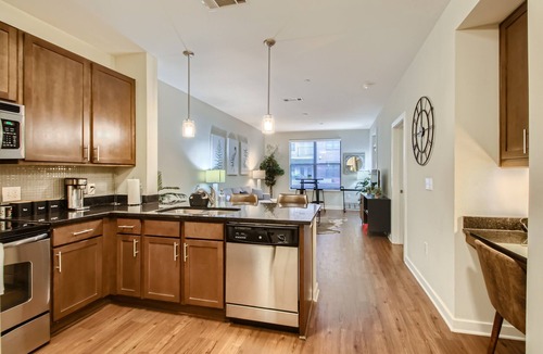 The Gulch Apartment | Downtown in the Gulch - Spacious 1bed/1bath - Stay like you Live here!