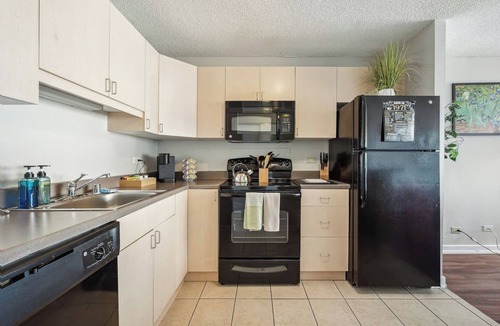 South Loop Condo | Downtown Lake VIEWS, Mich Ave, Museums 2bd/2ba