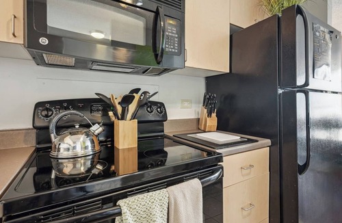 South Loop Condo | Downtown Lake VIEWS, Mich Ave, Museums 2bd/2ba