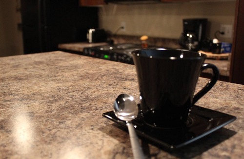 Fort Smith Apartment | Downtown Loft: King/Queen Suites- 2½ Baths Near Convention Center EV charging