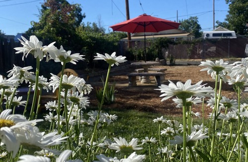 Medford Cottage | Downtown Mint