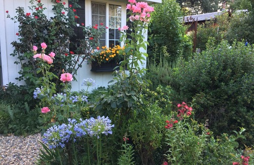 Murphys House | DOWNTOWN MURPHYS, HALF BLOCK TO MAIN ST