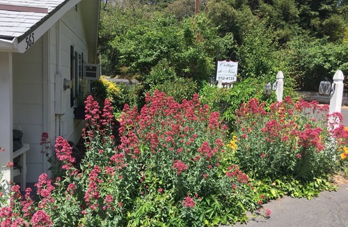 Murphys House | DOWNTOWN MURPHYS, HALF BLOCK TO MAIN ST