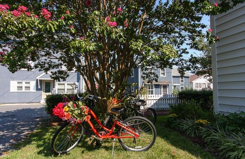 Oxford House | Downtown Oxford | Charming | Pet Friendly | Bikes