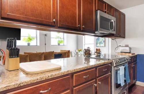 The Loop Apartment | DOWNTOWN PENTHOUSE Vintage Loft #6 2bd/1.5ba +private balcony & gym