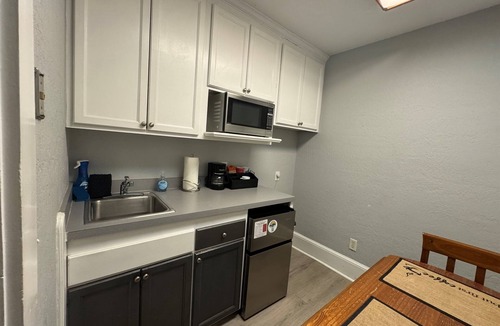Downtown Orlando Apartment | Downtown Private Efficiency Lake Eola Central Business District