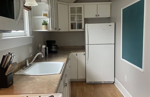Downtown Rochester House | Downtown Rochester