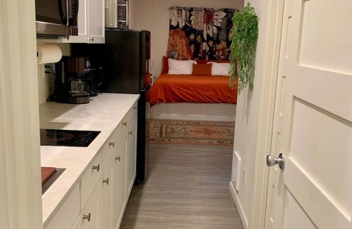 Moscow Apartment | Downtown Studio - Scarlet