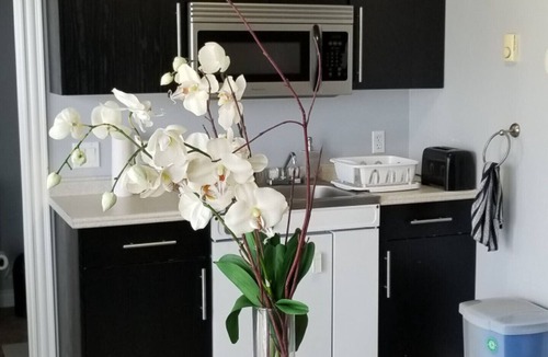 Summerside Condo | Downtown Summerside Jewel