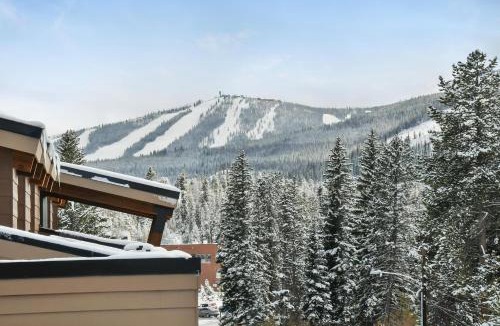 Winter Park House | Downtown WP Villa 268 I Rooftop Hot Tub I Great Views I Activity Program